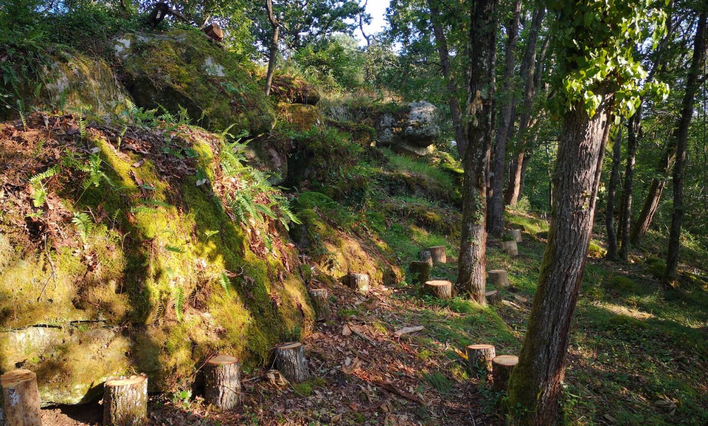 Installation d’une forêt pédagogique à disposition de l’école communale