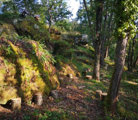 Installation d’une forêt pédagogique à disposition de l’école communale