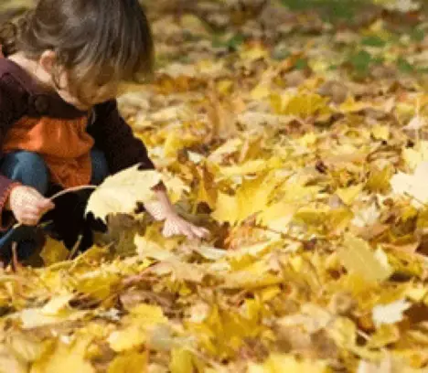 Dans notre commune, la forêt fait école !