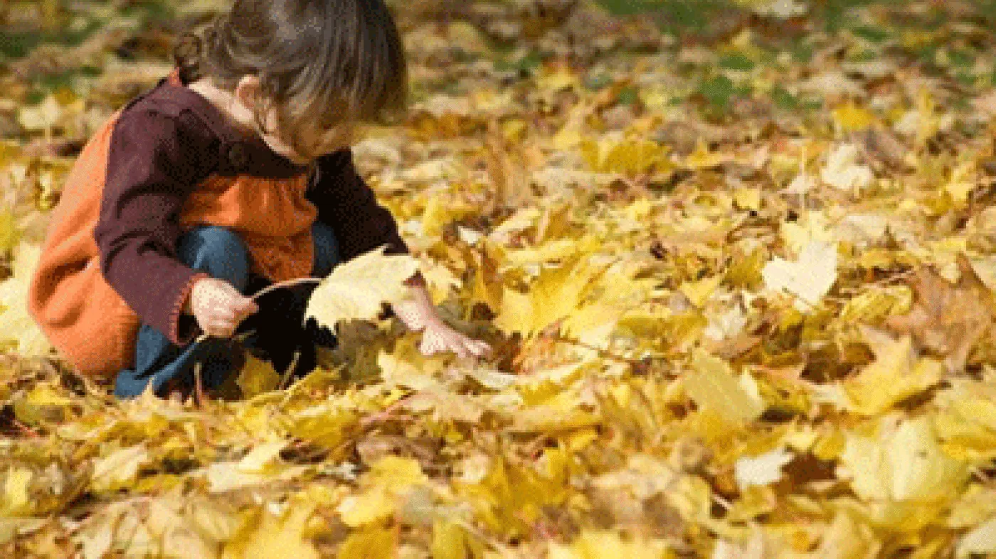 Dans notre commune, la forêt fait école !