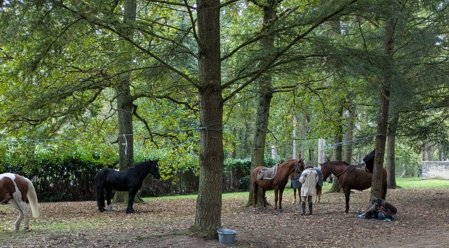 Une randonnée équestre fait une halte au Vaudoué