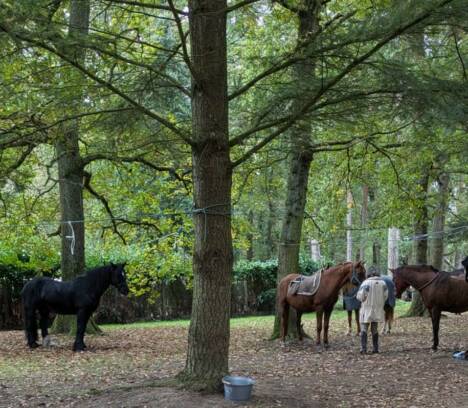 Une randonnée équestre fait une halte au Vaudoué